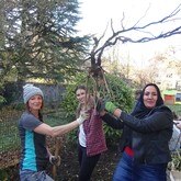 Journée Solidaire 21.11.2017 Maison des Familles 1.JPG